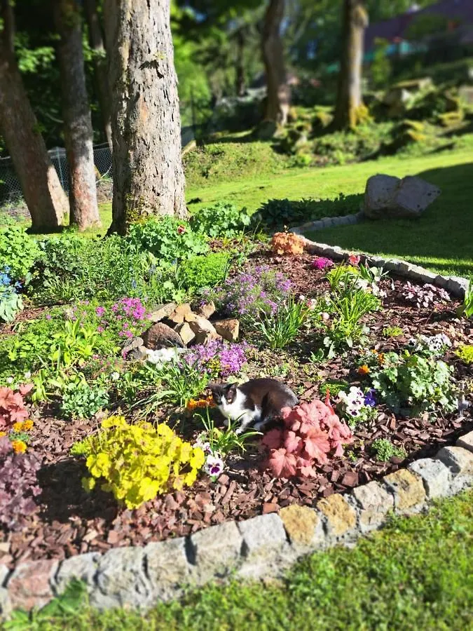 Homestay Willa Dobranocka Szklarska Poreba Poland